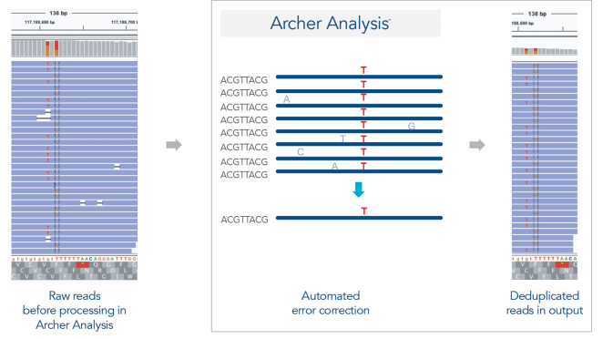 Streamlined data analysis