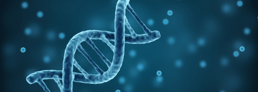 (Almost) everything you need to know about gene fragments