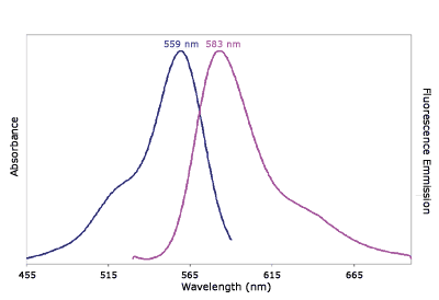 Absorbance and Fluorescence Emission