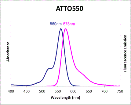 Absorbance and Fluorescence Emission